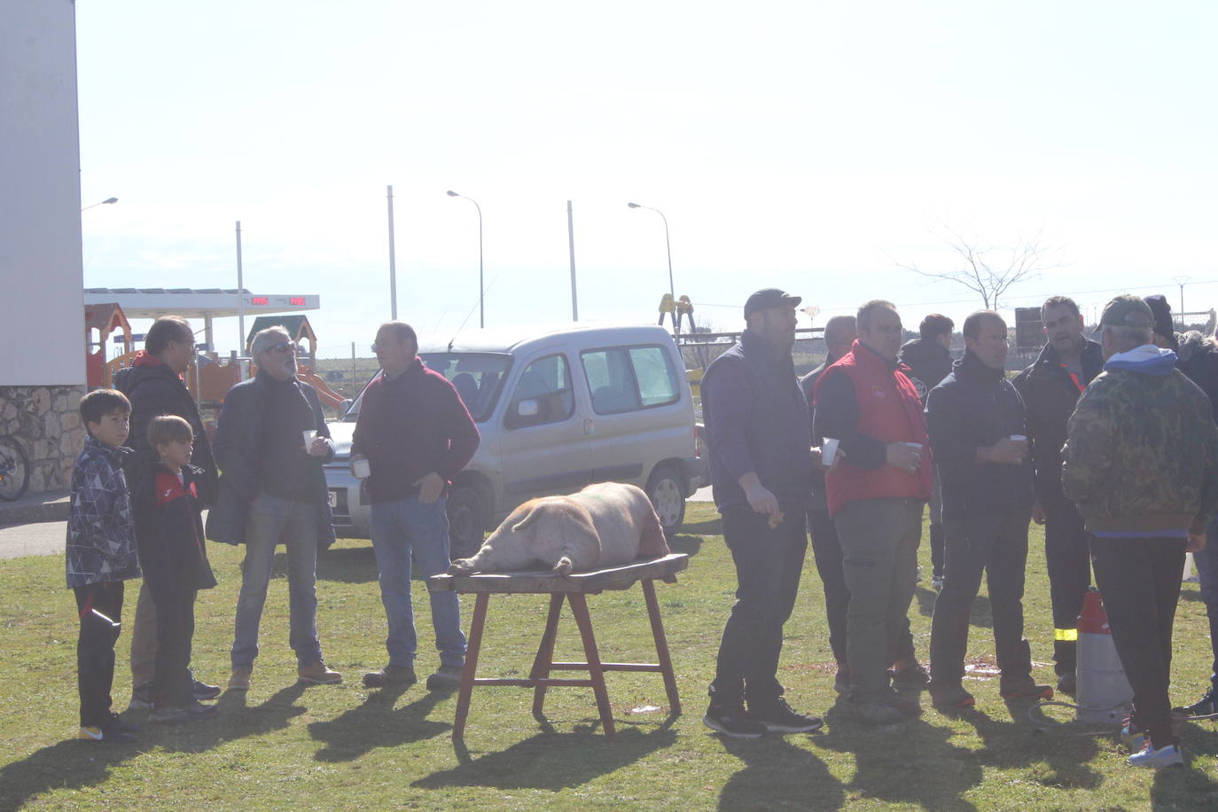 Fiesta en torno al cerdo y la gastronomía, en Villar de Peralonso