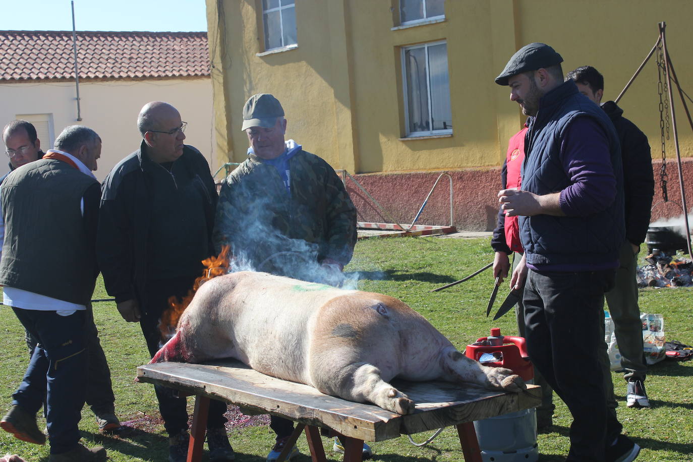 Fiesta en torno al cerdo y la gastronomía, en Villar de Peralonso