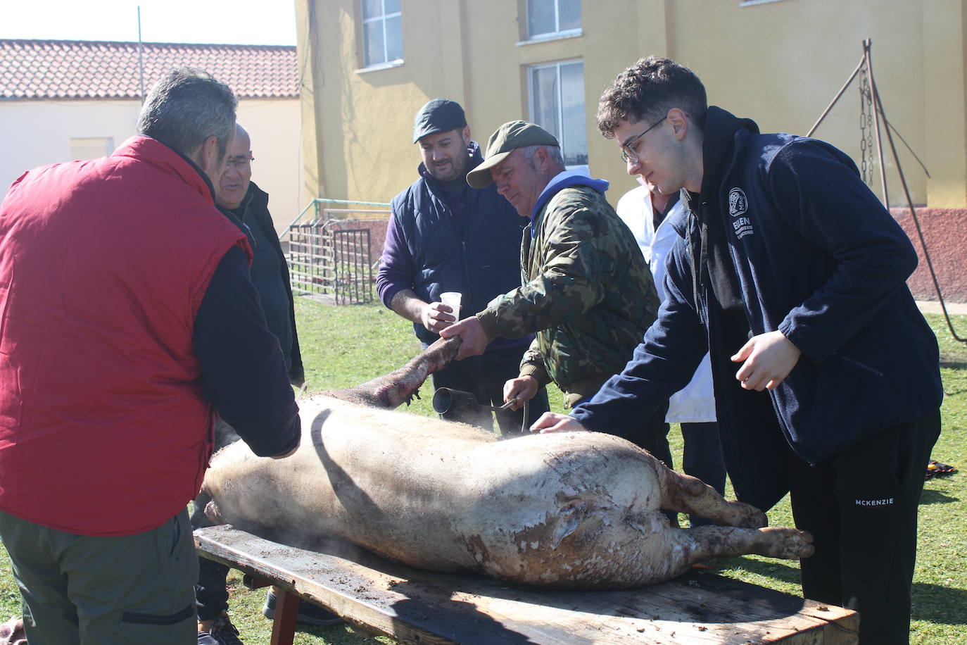 Fiesta en torno al cerdo y la gastronomía, en Villar de Peralonso