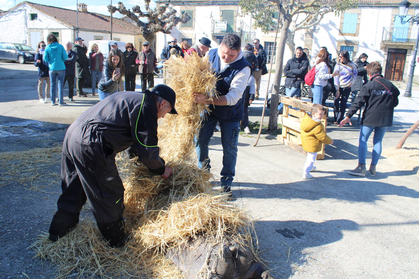 La matanza de Gallegos de Solmirón crece año tras año