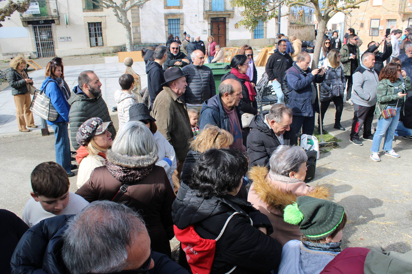 La matanza de Gallegos de Solmirón crece año tras año