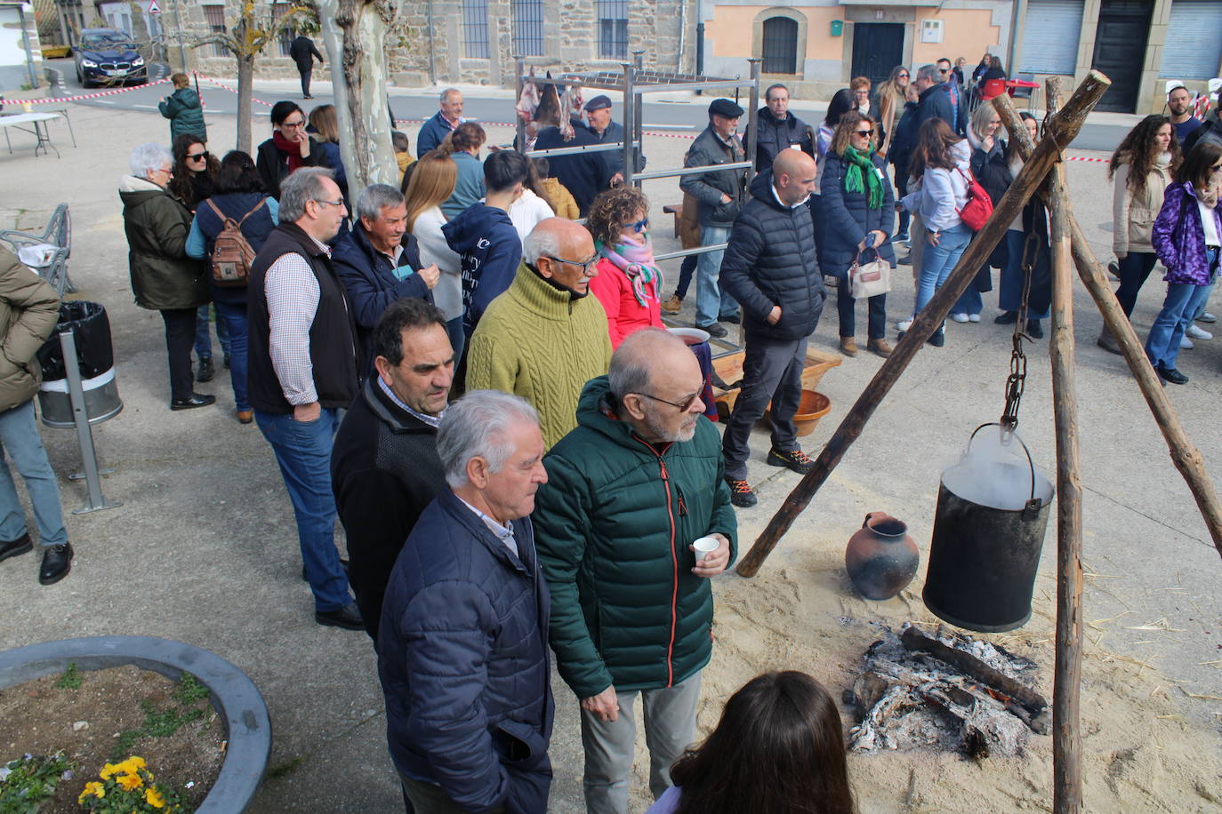 La matanza de Gallegos de Solmirón crece año tras año