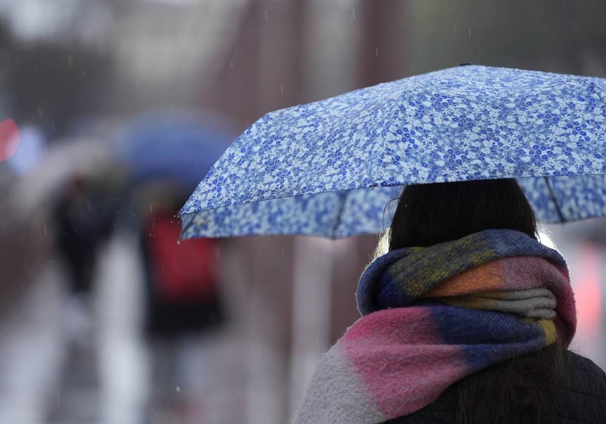 Una persona se protege de la lluvia con un paraguas.