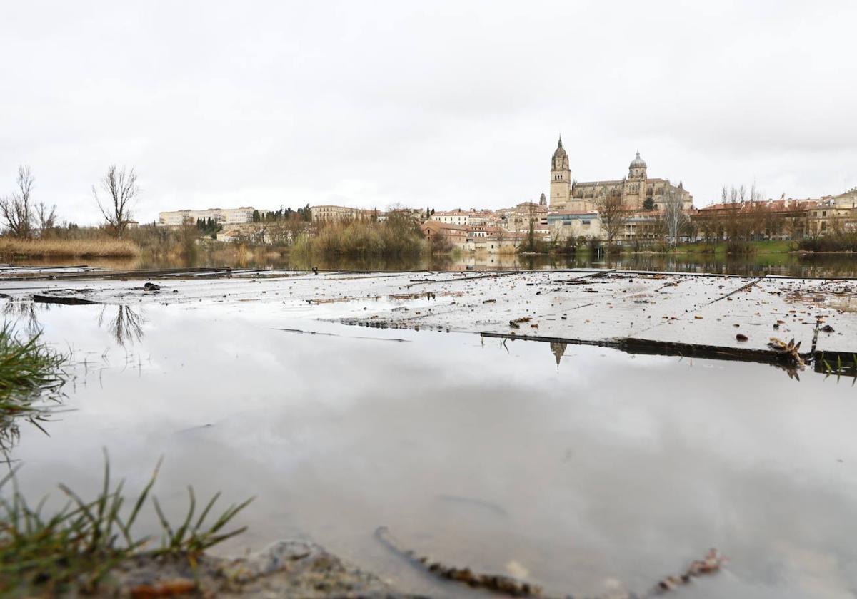 Imagen de las inundaciones que se han producido por las precipitaciones que han caído en las últimas semanas en los aledaños del río Tormes.