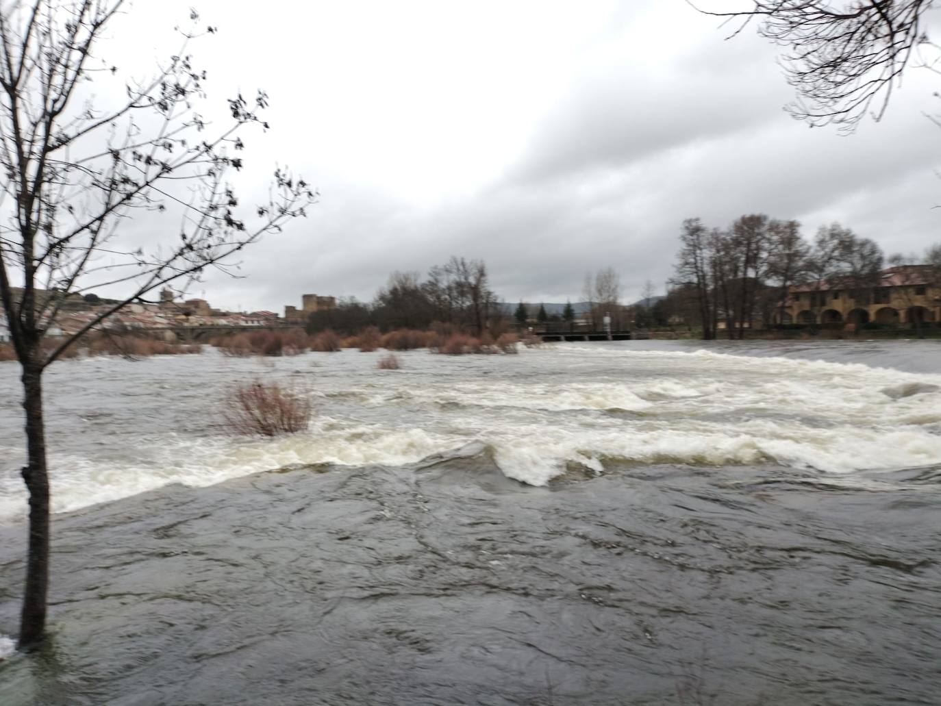 Así luce el río Tormes a su paso por Puente del Congosto tras la espectacular crecida de las últimas horas