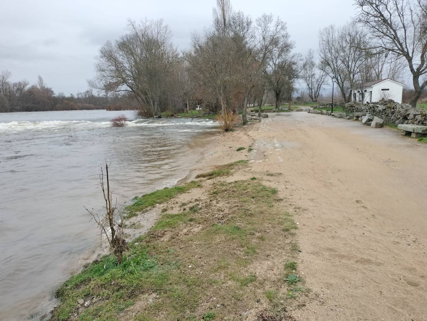 Así luce el río Tormes a su paso por Puente del Congosto tras la espectacular crecida de las últimas horas