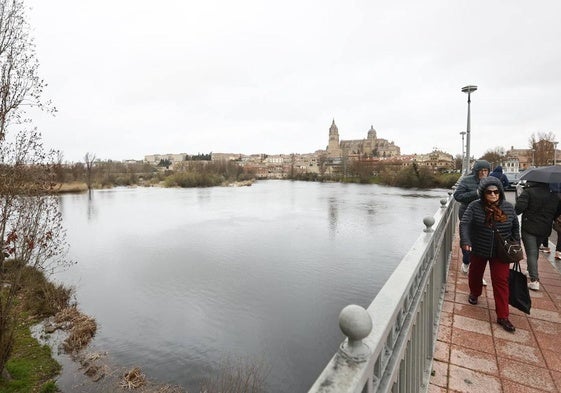Río Tormes a su paso por el puente Enrique Estevan.