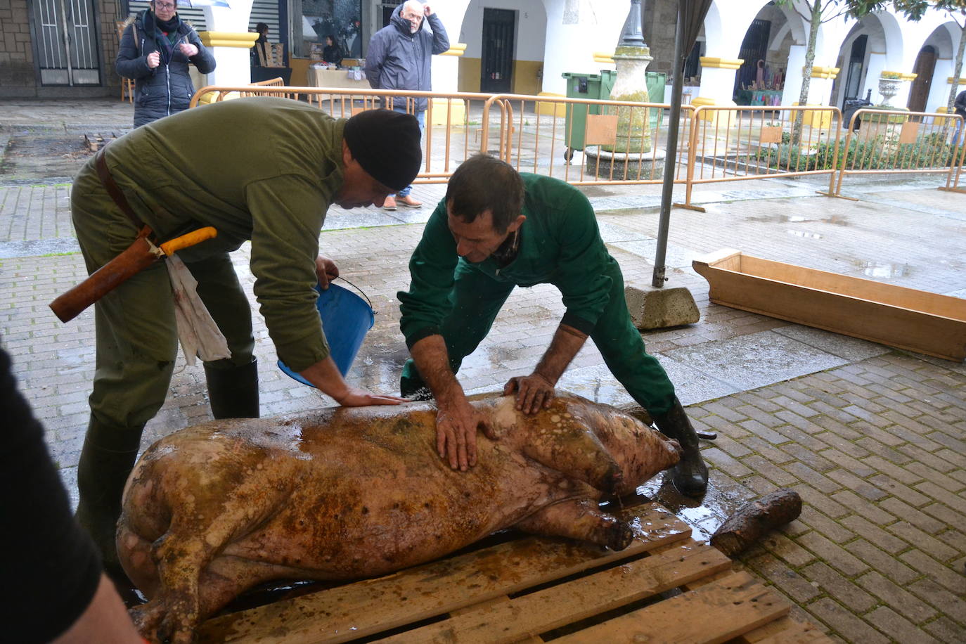 La lluvia no desluce la tradición matancera de Ciudad Rodrigo