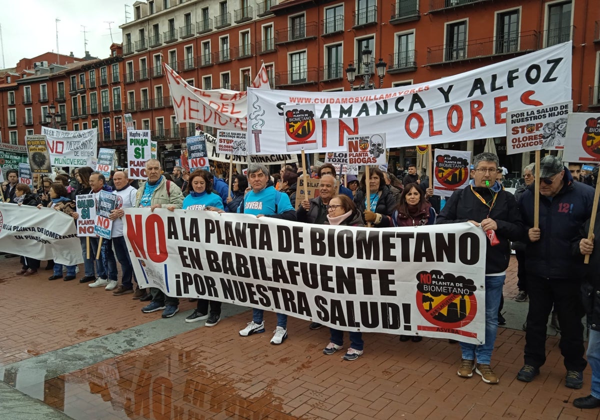 Representantes de Babilafuente en la Plaza Mayor de Valladolid.