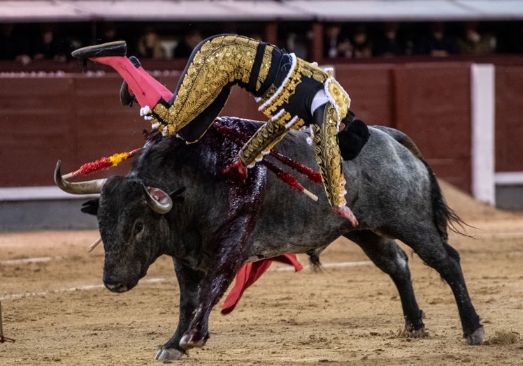 Momento del percance de Damián Castaño ante el quinto toro, «Revoltoso» de Adolfo Martín.