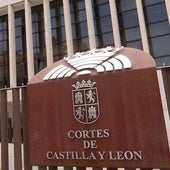 Cortes de Castilla y León.