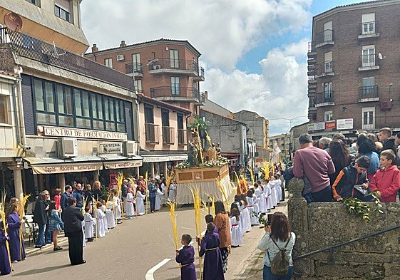 Procesión de La Borriquilla en Vitigudino.