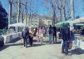 Imagen del último mercado artesano celebrado en el parque municipal.