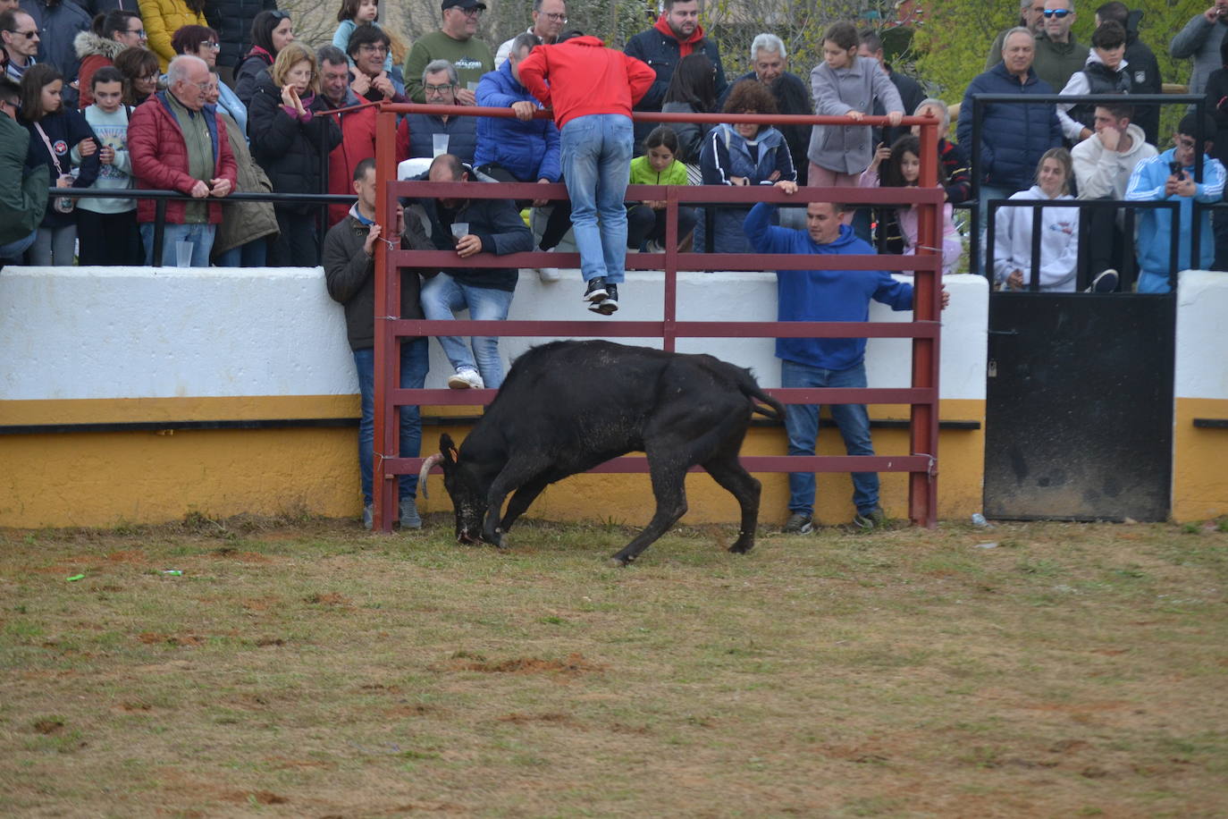 Fuentes de Oñoro celebra el Día del Hornazo