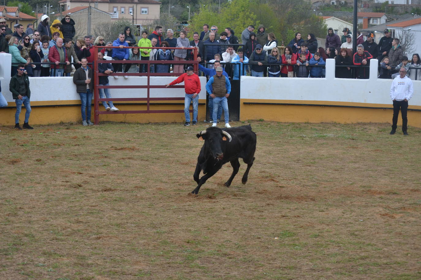 Fuentes de Oñoro celebra el Día del Hornazo