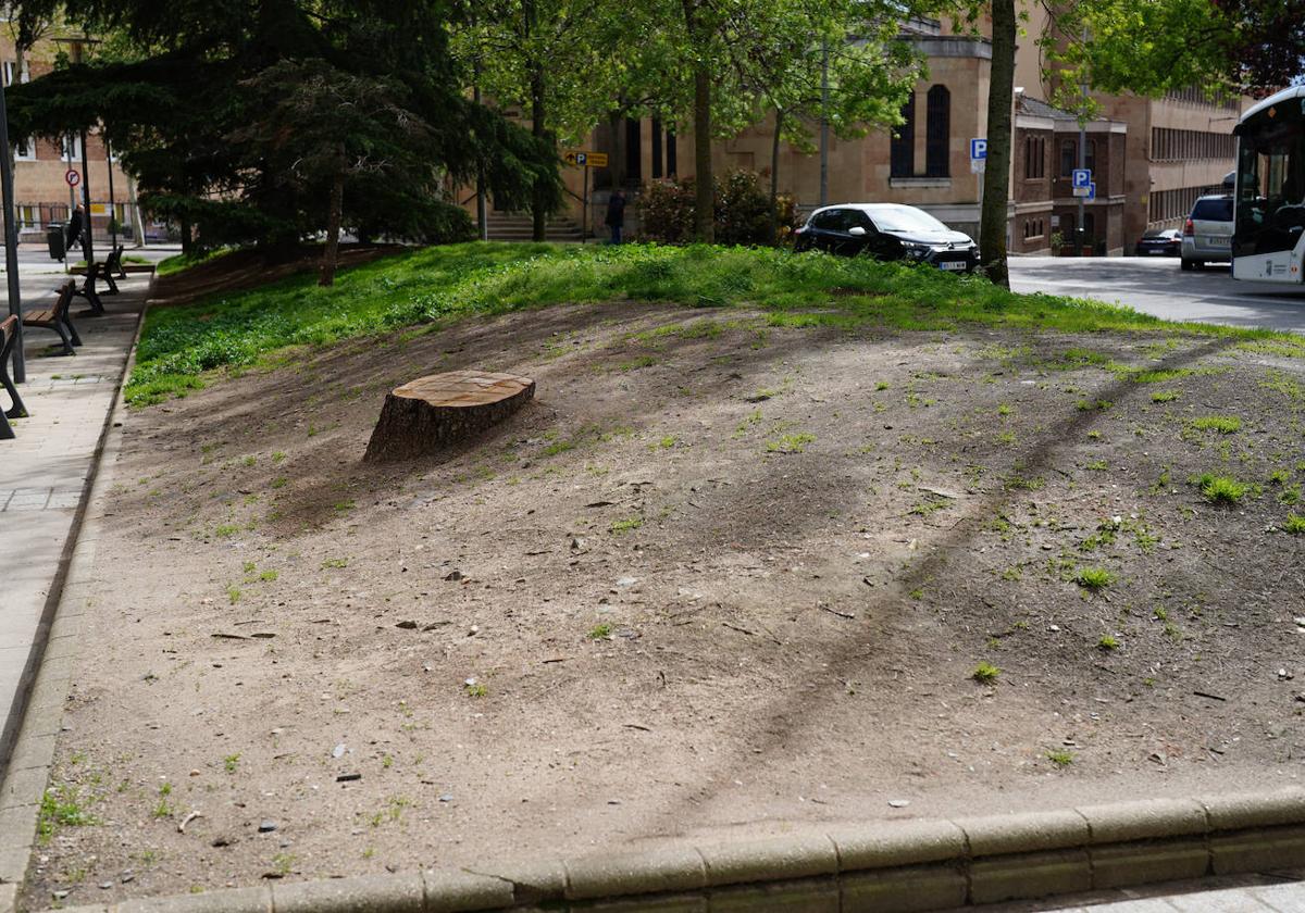 Arena para todos y césped para nadie
