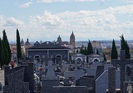 Cementario San Carlos Borromeo de Salamanca.