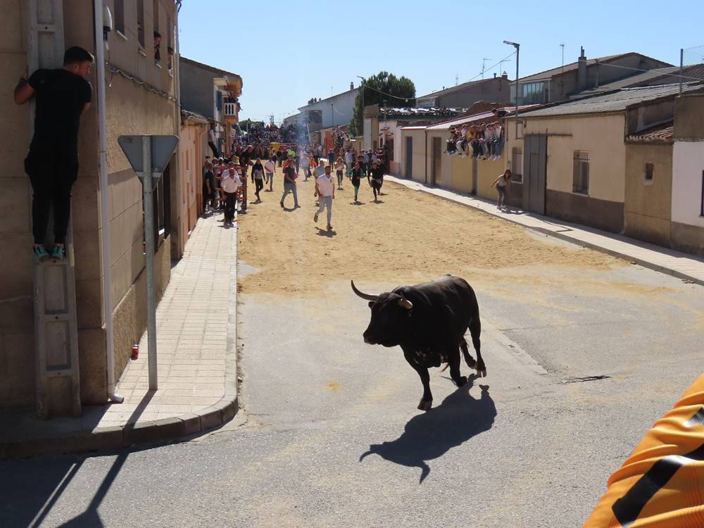 Bravura y juventud bajo un sol de justicia por las calles de Villoria