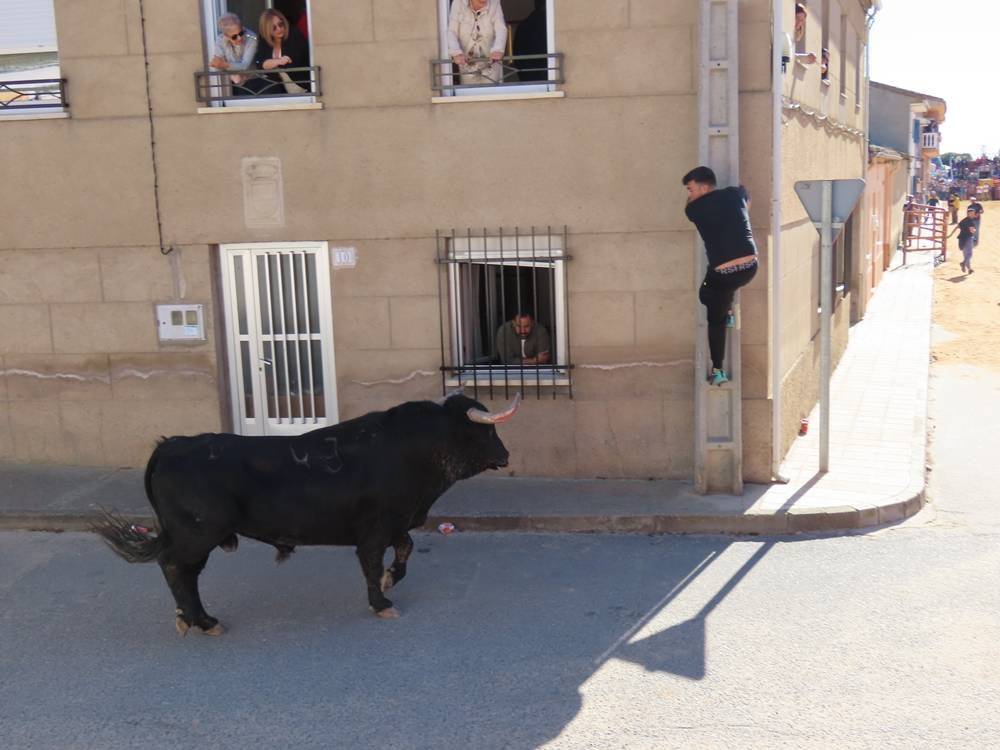 Bravura y juventud bajo un sol de justicia por las calles de Villoria