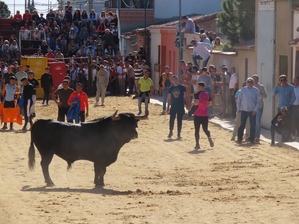 Bravura y juventud bajo un sol de justicia por las calles de Villoria