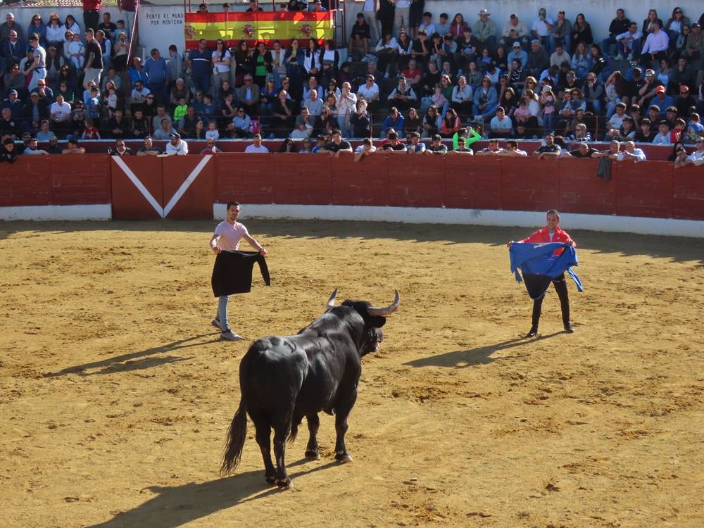 Bravura y juventud bajo un sol de justicia por las calles de Villoria