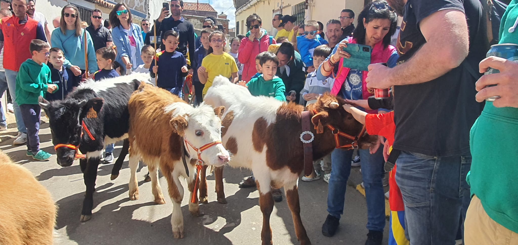 Las vaquillas y el encierro infantil con minibueyes, citas de éxito en las fiestas de Doñinos