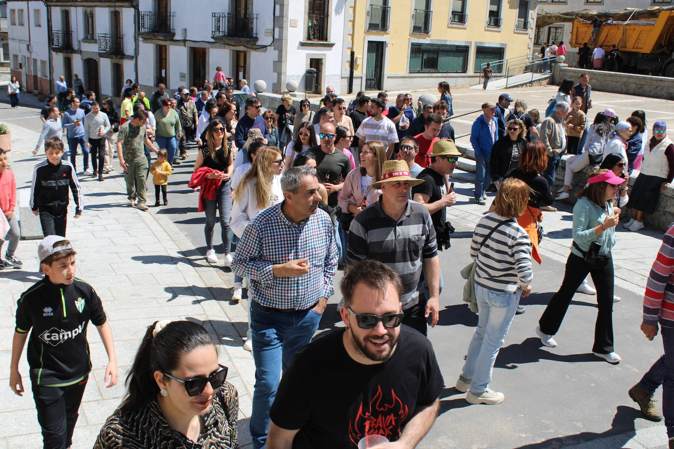 La picota de los quintos luce ya en Los Santos para recibir a la Virgen del Gozo