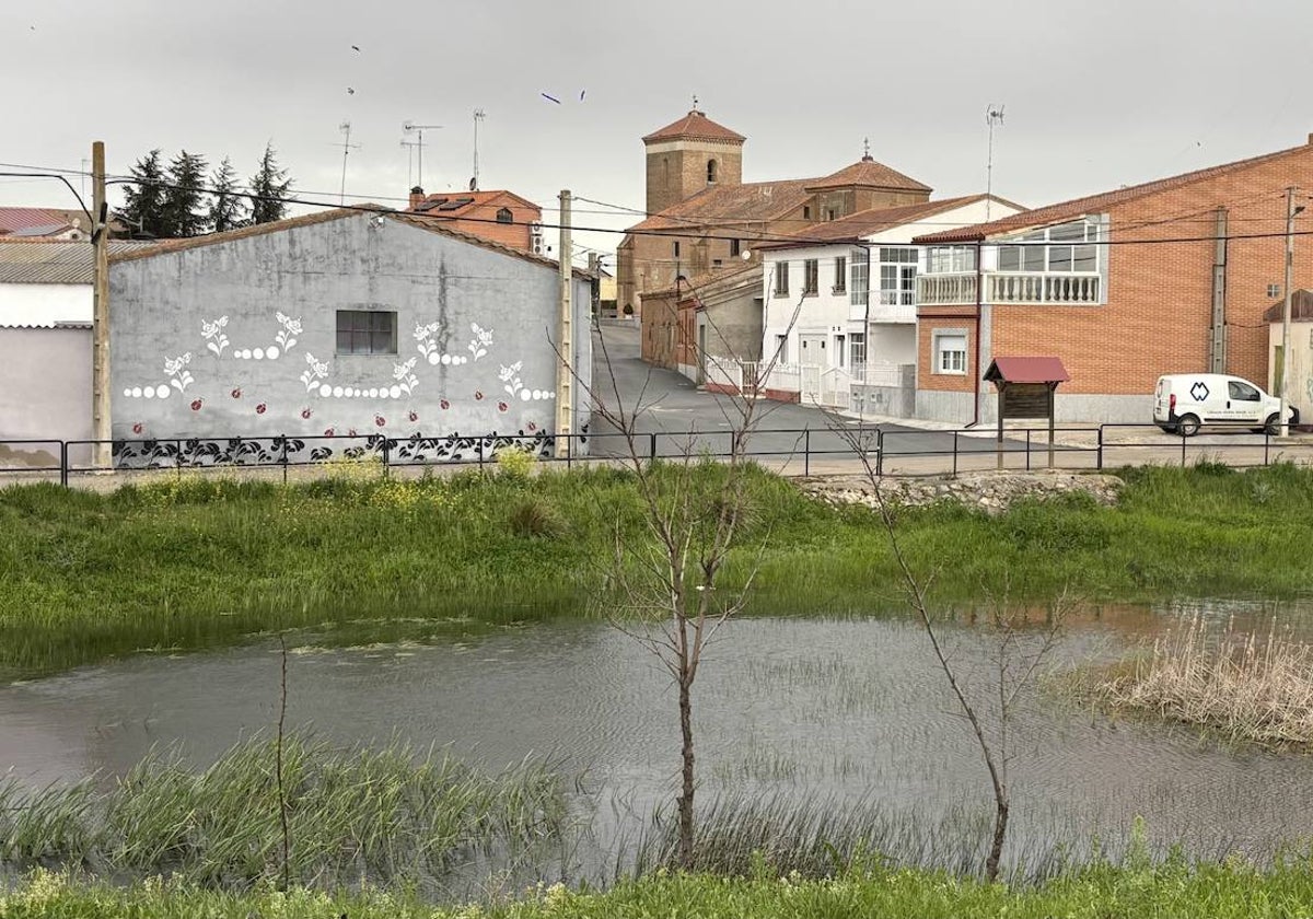 Campo de Peñaranda, un lugar idóneo para el turismo ornitológico