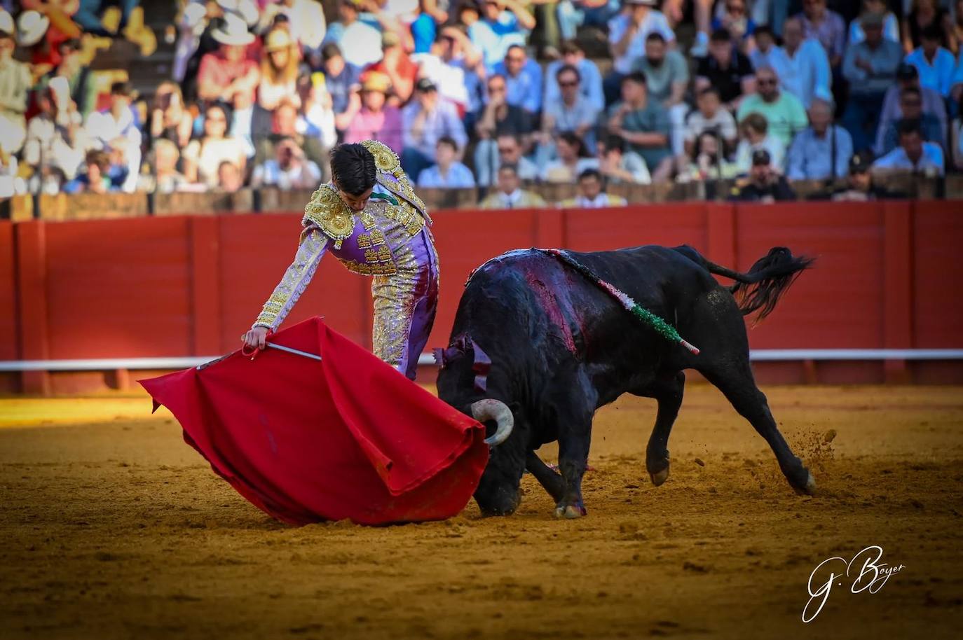 Las mejores imágenes de Marco Pérez en La Maestranza