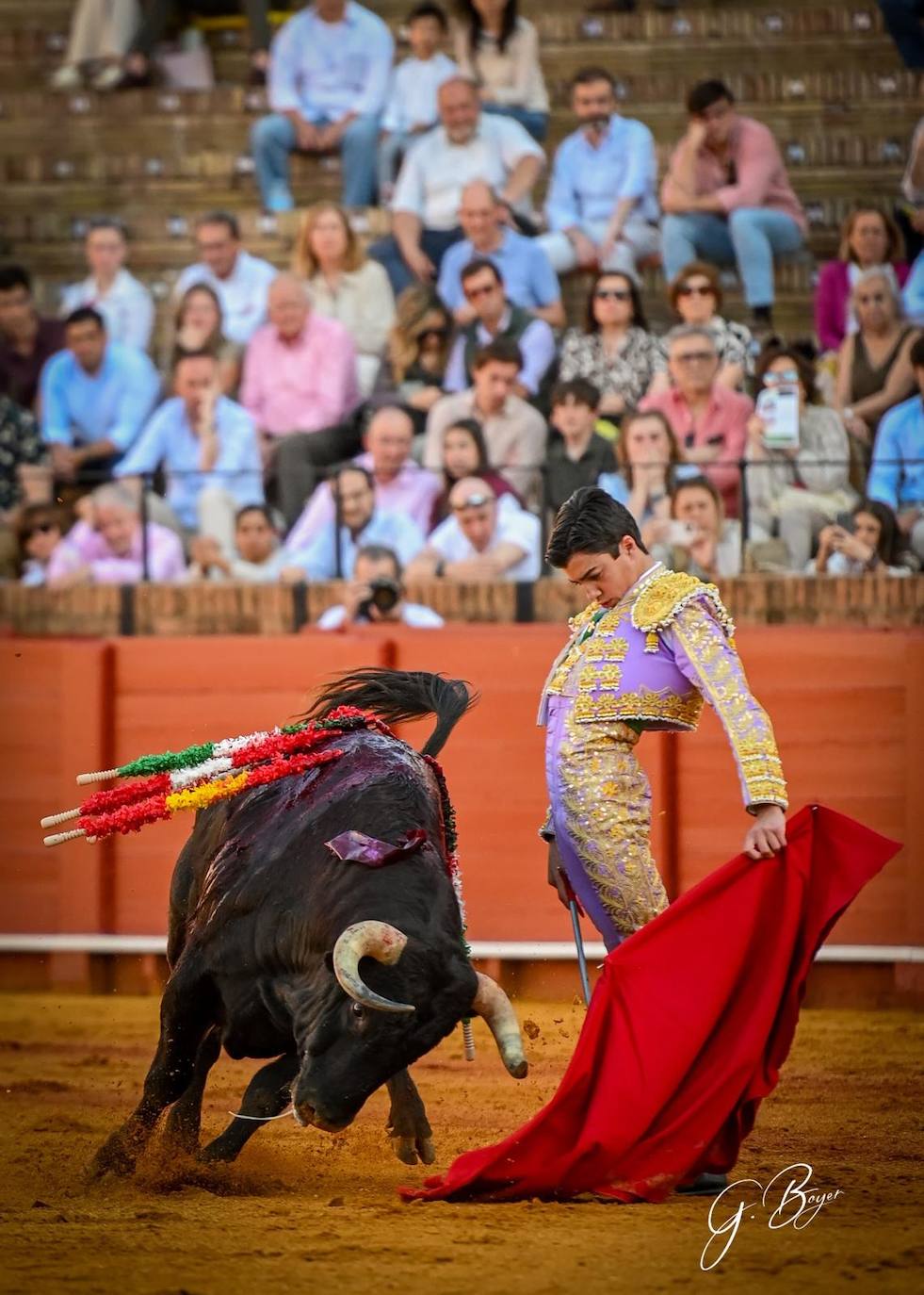 Las mejores imágenes de Marco Pérez en La Maestranza