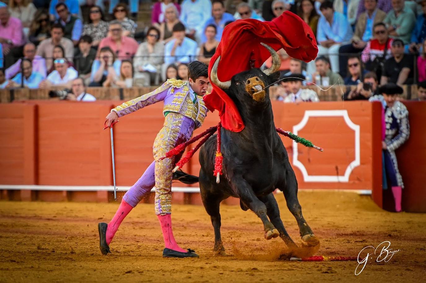 Las mejores imágenes de Marco Pérez en La Maestranza