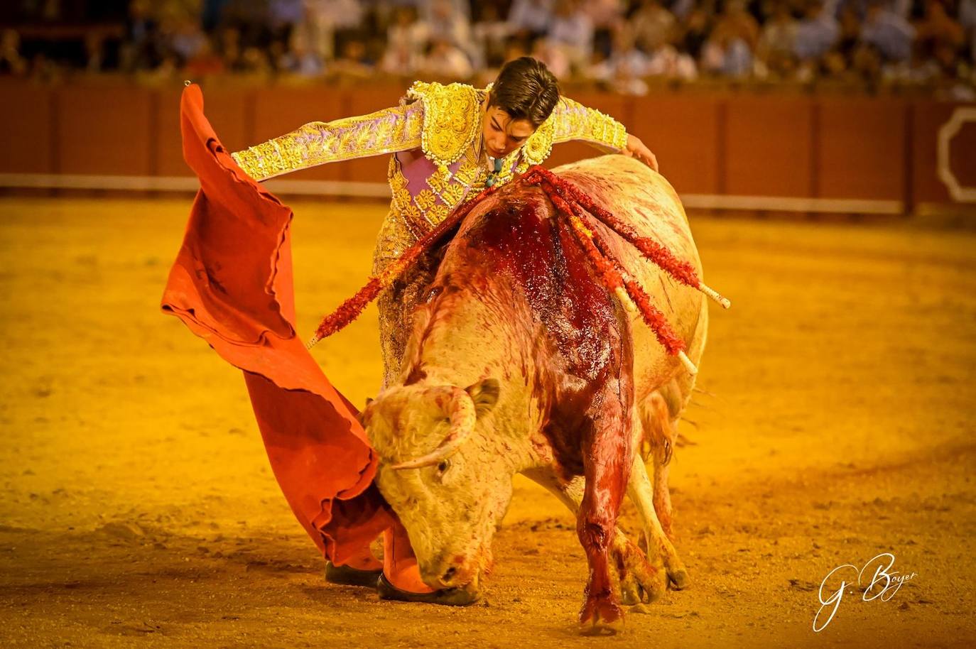Las mejores imágenes de Marco Pérez en La Maestranza