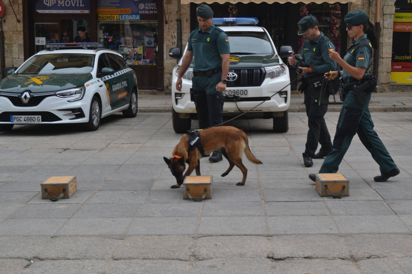 Más de mil escolares de Ciudad Rodrigo se dan cita en una exhibición de la Guardia Civil