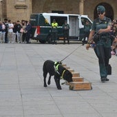 Momento de la actividades del equipo del servicio cinológico