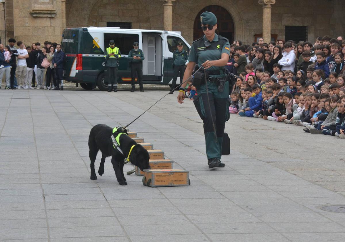 Qué ha ocurrido en Salamanca este miércoles 30 de abril de 2025