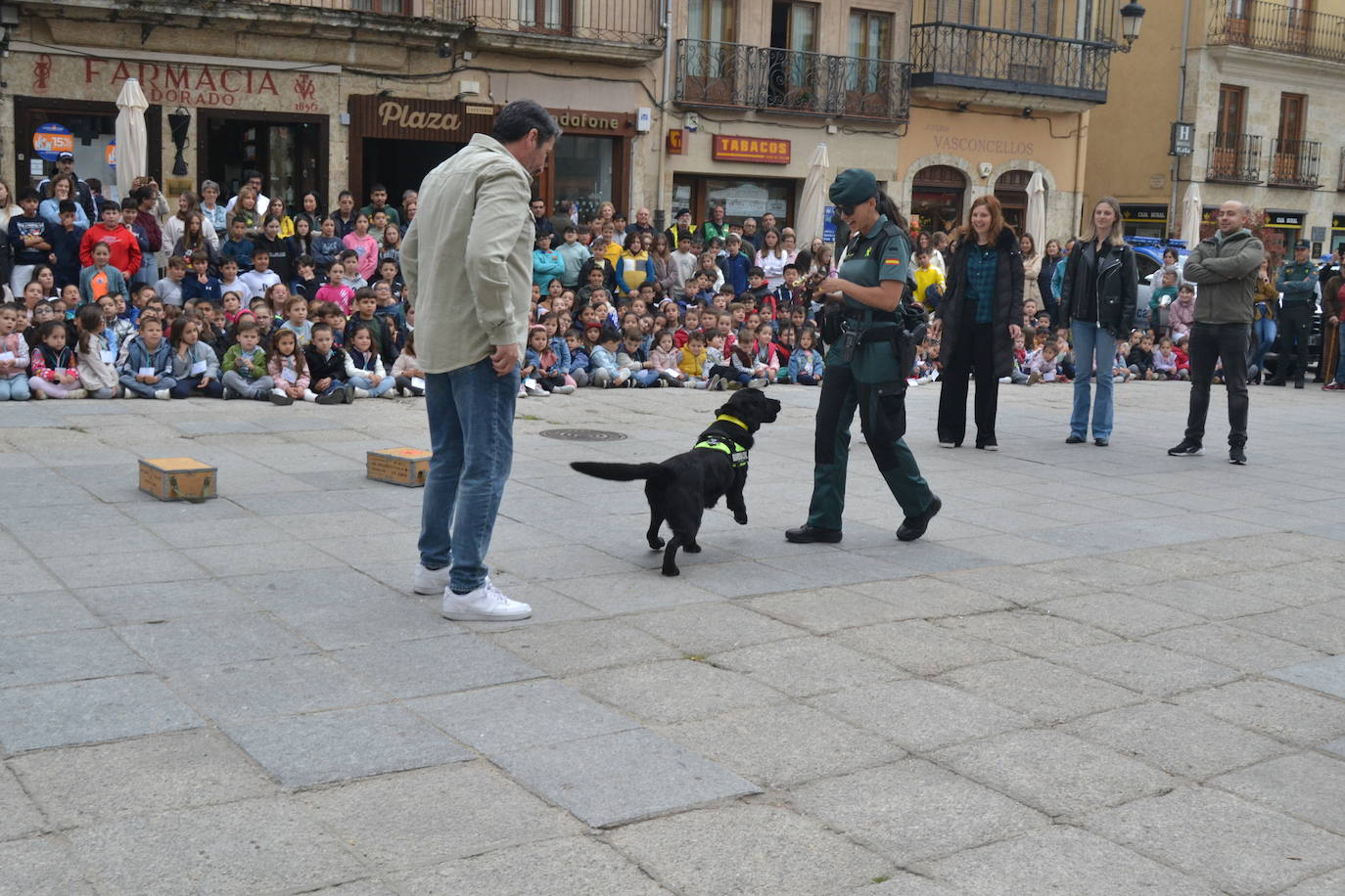 Más de mil escolares de Ciudad Rodrigo se dan cita en una exhibición de la Guardia Civil