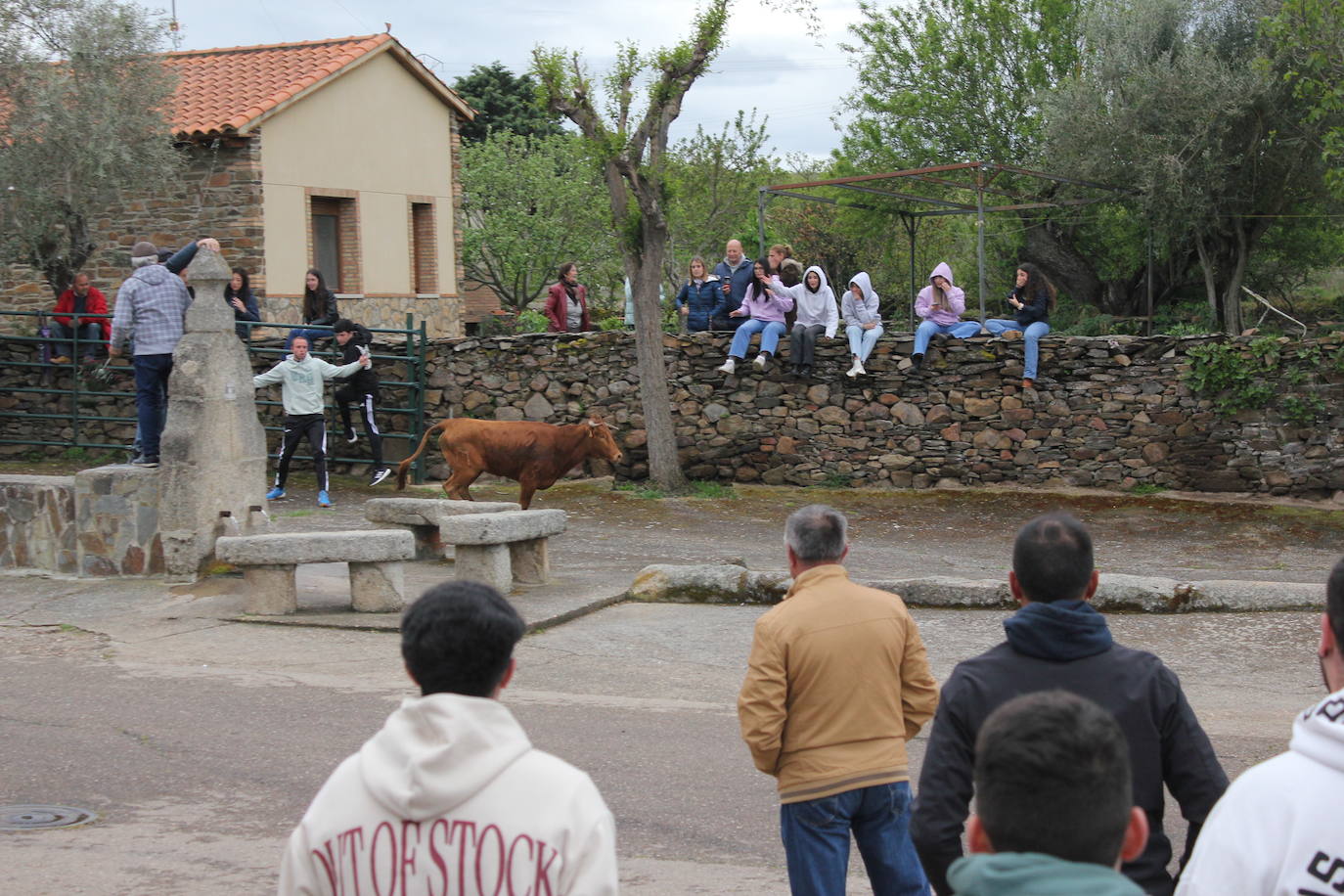 Fervor en el día central de la Santa Cruz de Saelices el Chico