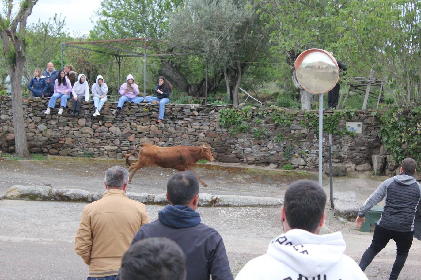 Fervor en el día central de la Santa Cruz de Saelices el Chico