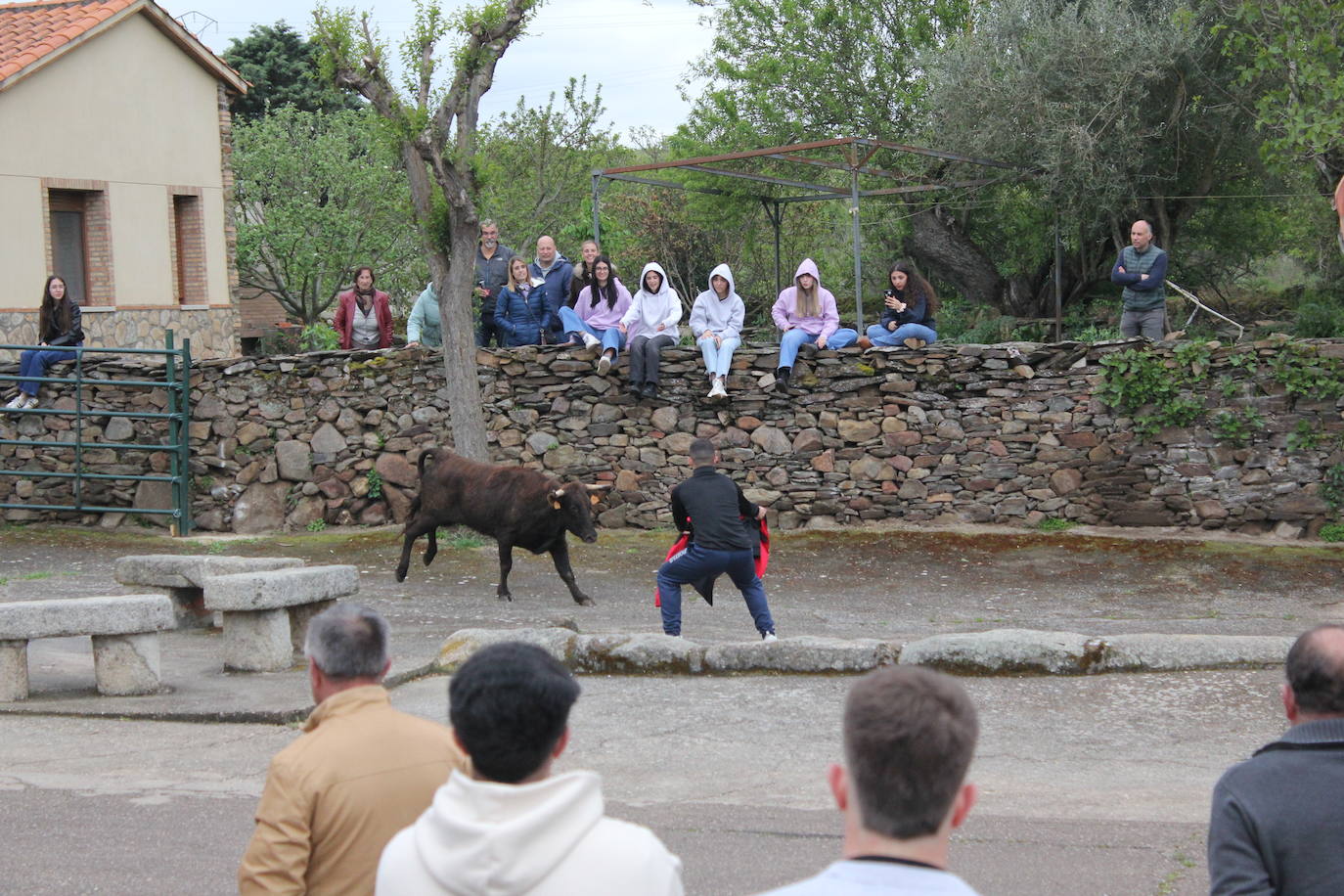 Fervor en el día central de la Santa Cruz de Saelices el Chico