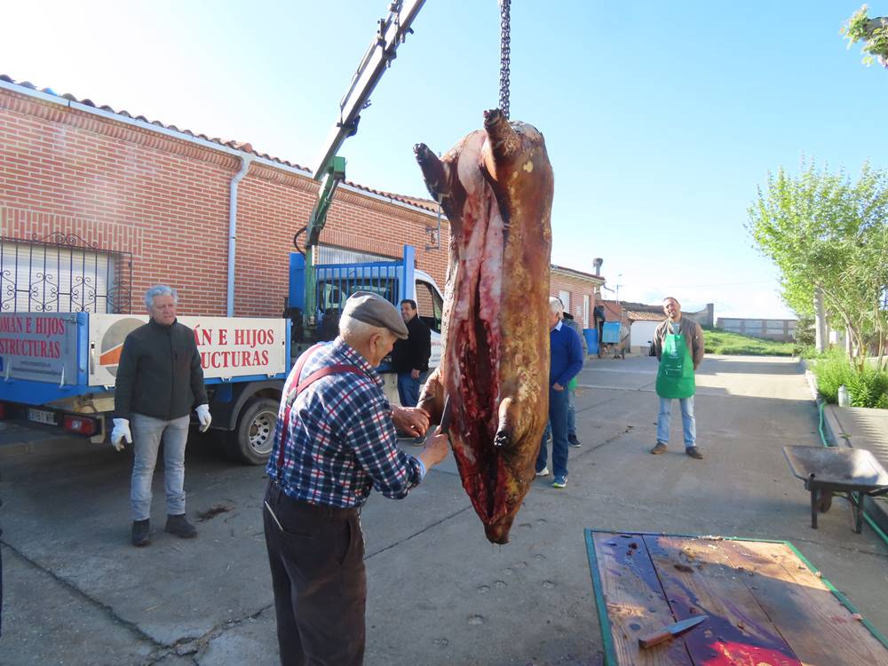 Recuerdos del pasado en la VIII Matanza Típica de Cantaracillo