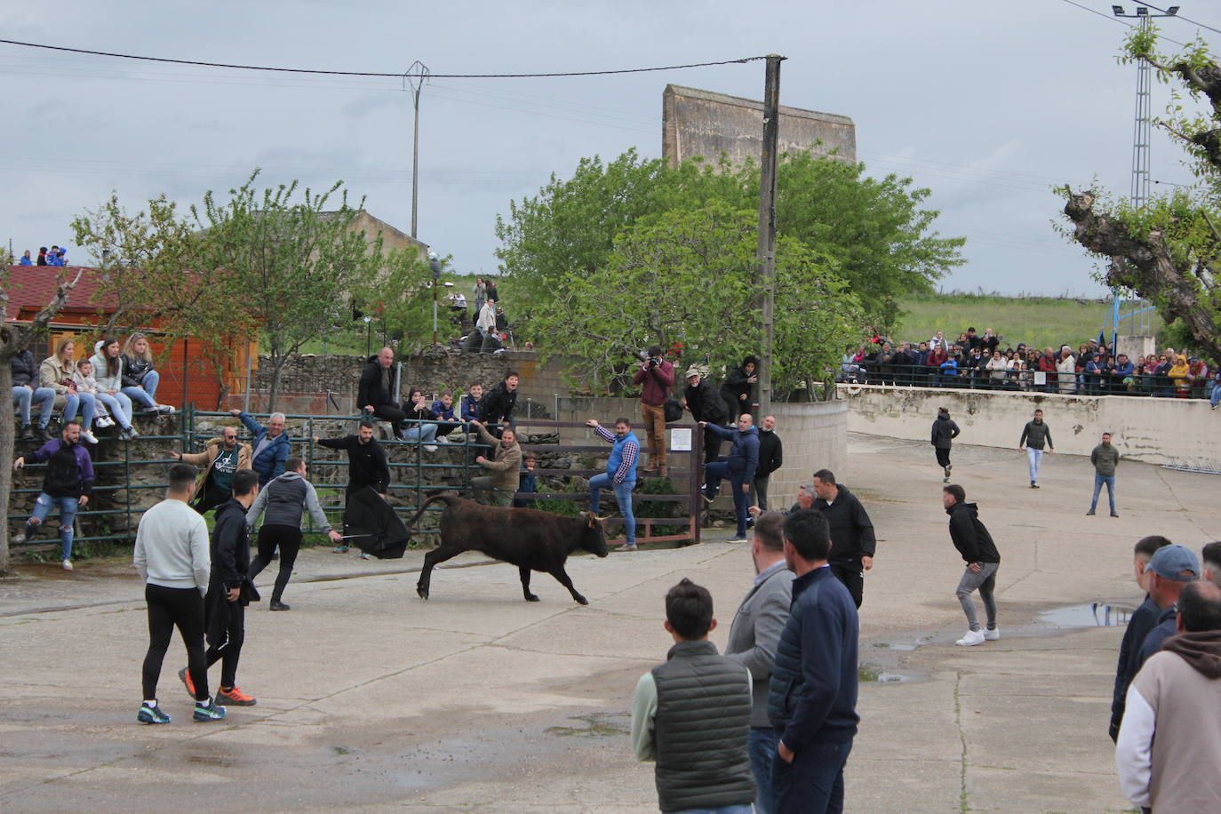 Fervor en el día central de la Santa Cruz de Saelices el Chico