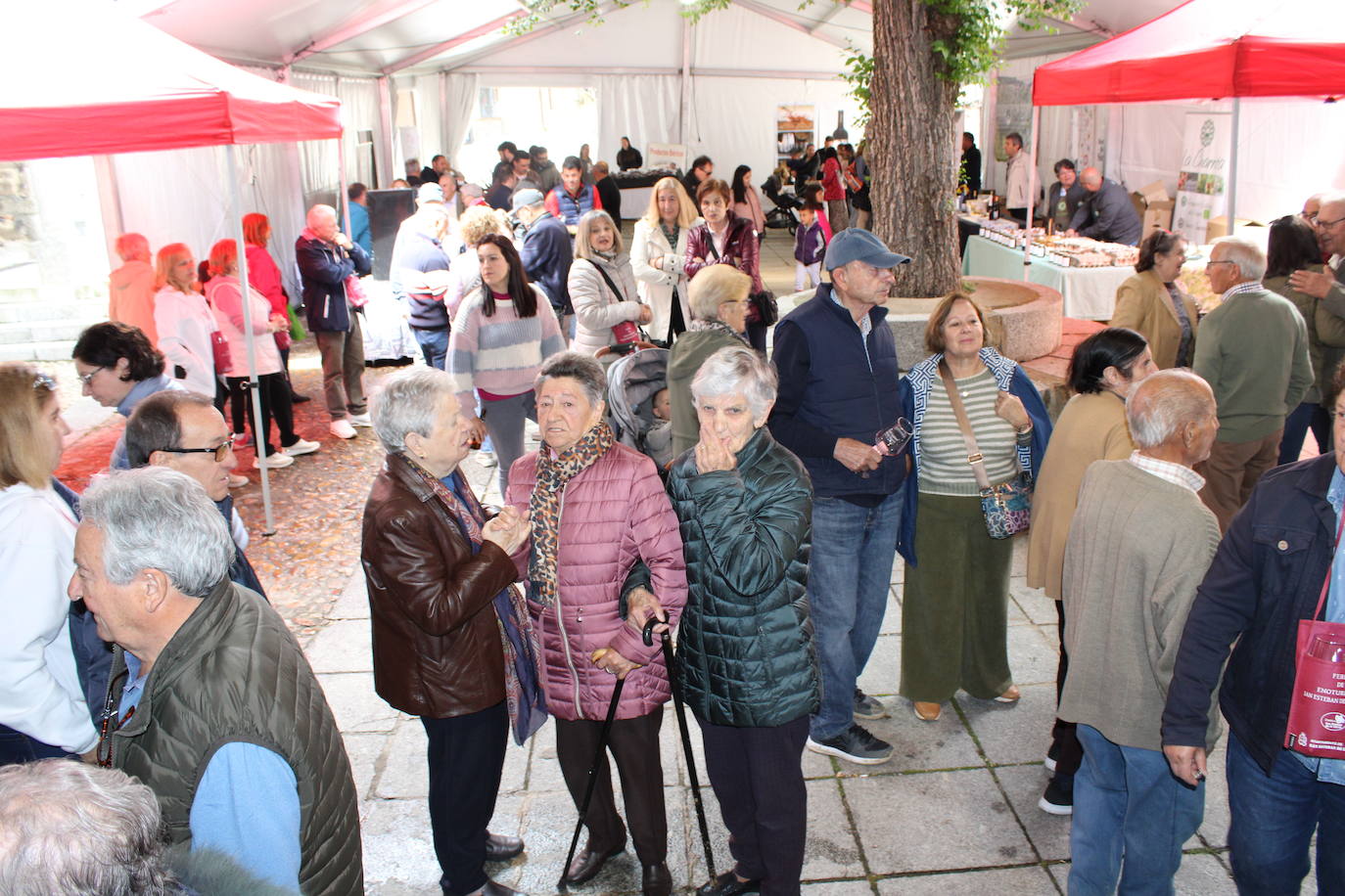 San Esteban de la Sierra disfruta de su riqueza enológica