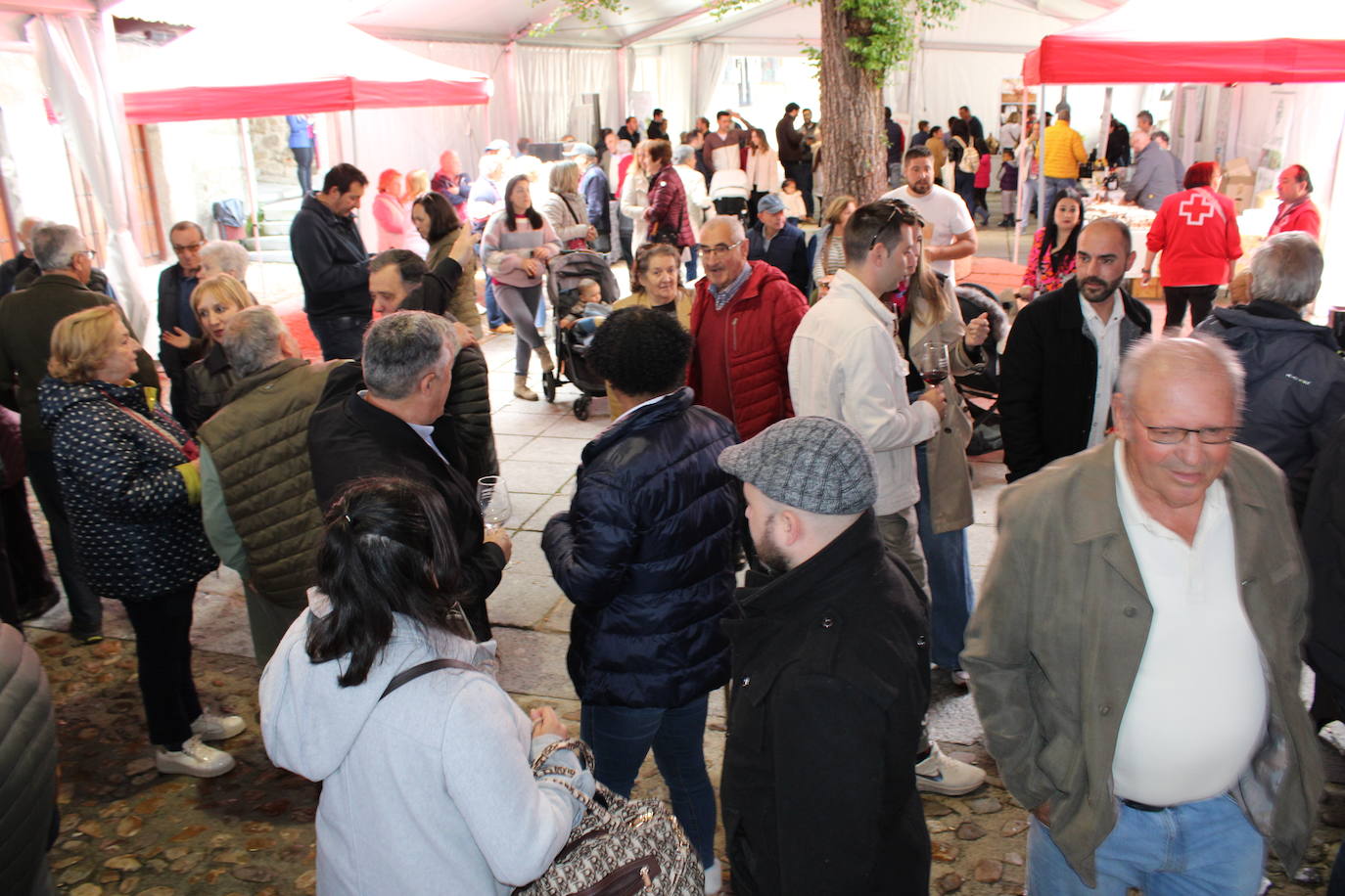San Esteban de la Sierra disfruta de su riqueza enológica