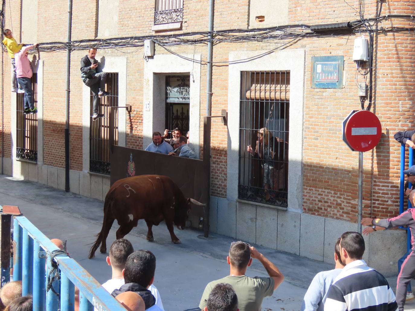 Apogeo taurino en Cantalapiedra
