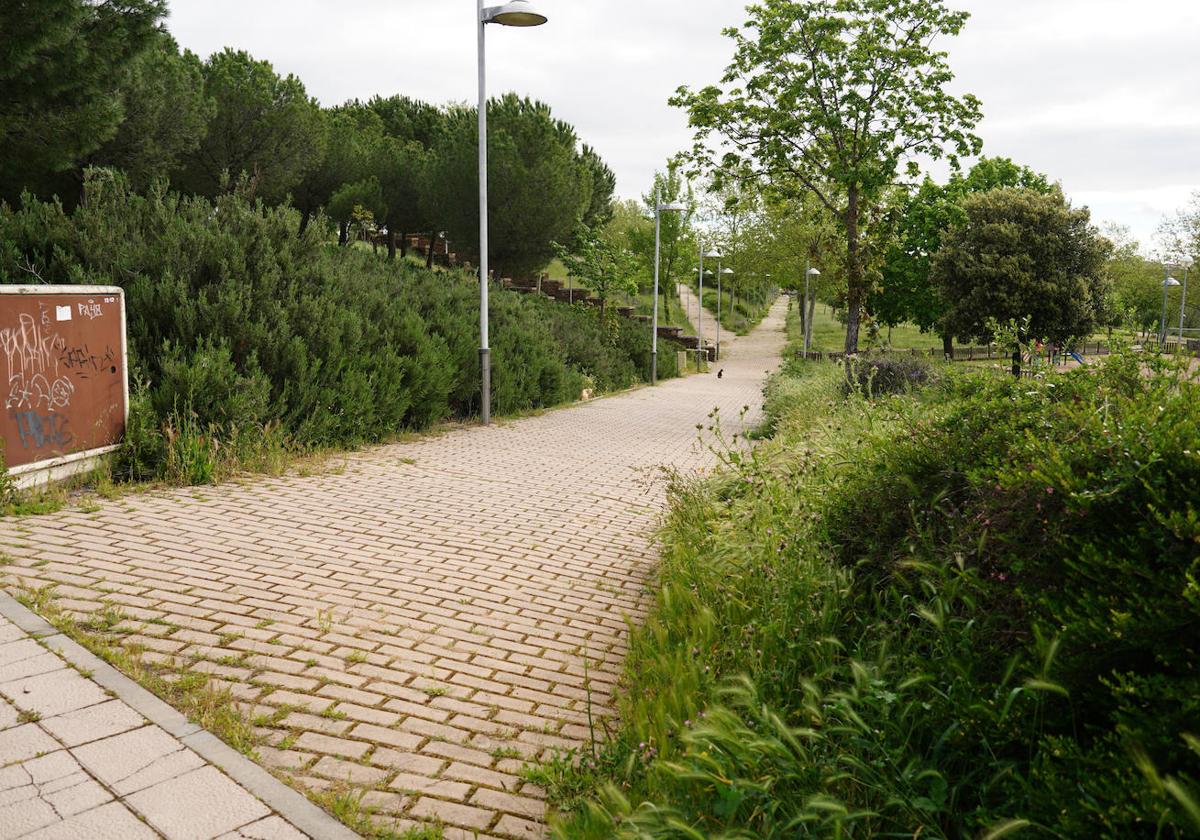 Activada la alerta contra las garrapatas en las zonas periurbanas