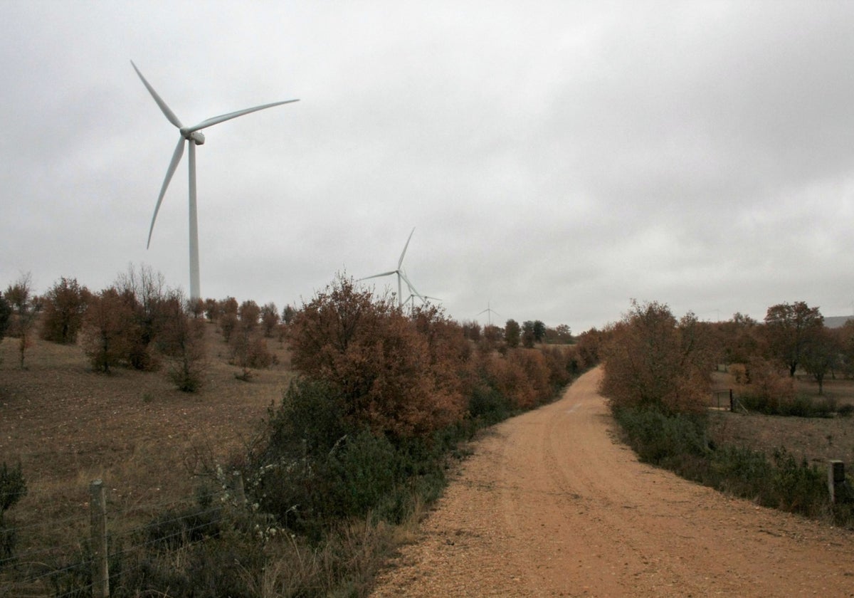 Dos de los casi cuarenta molinos que hay en los municipios del corredor norte de la provincia.