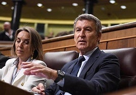 El presidente del PP, Alberto Núñez Feijóo.