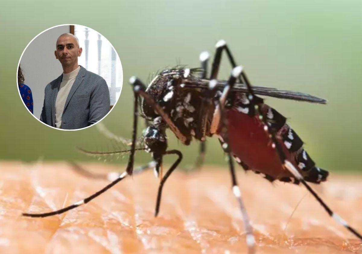 El elemento más eficaz contra los mosquitos según un experto: «Son indispensables para dormir tranquilo y evitar picaduras»