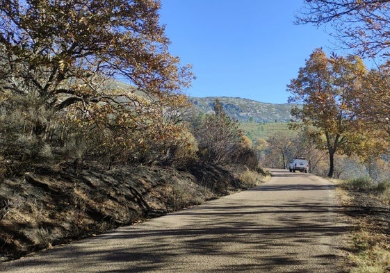 Carretera de acceso a la localidad de Monsagro.