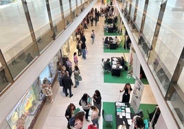 El Centro Comercial El Tormes acogerá una nueva edición de la Feria del Empleo.